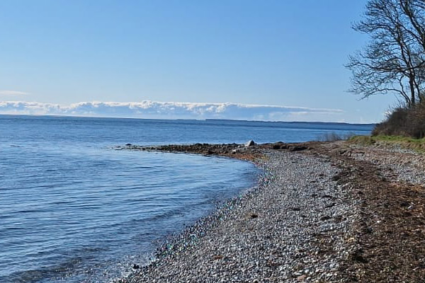 Meerforellen-Seminar